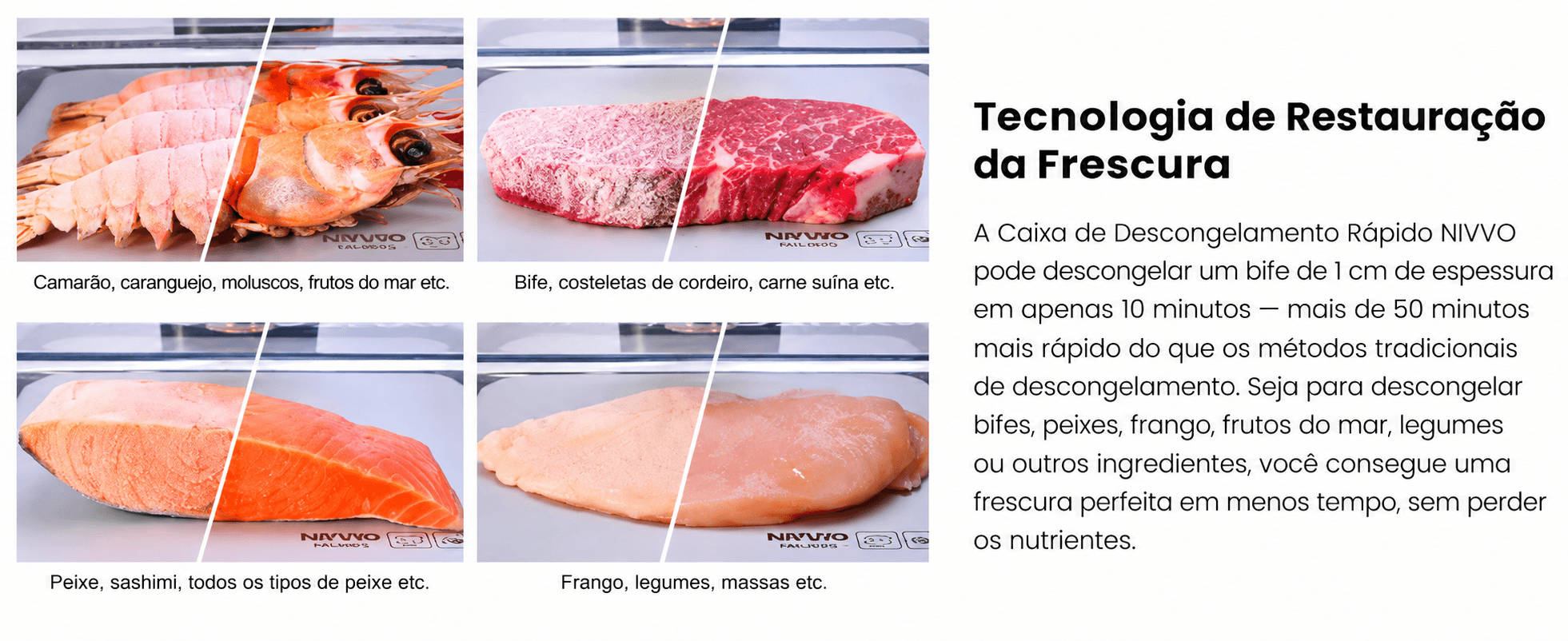 Bandeja de descongelamento programável - descrição 4